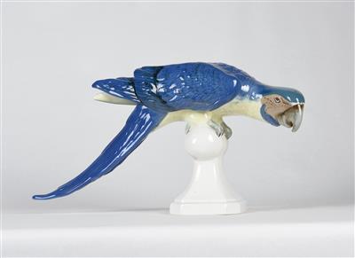 Papagei (Ararauna) - Arte, antiquariato e gioielli