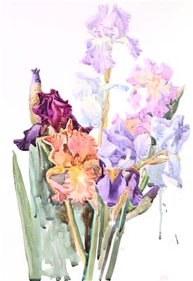 Elmira Shemsedinova "Irises" - Charity-Kunstauktion „Bildung sichert Frieden“