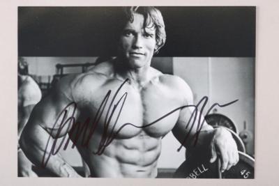 Arnold Schwarzenegger - Klenoty, umění a starožitnosti