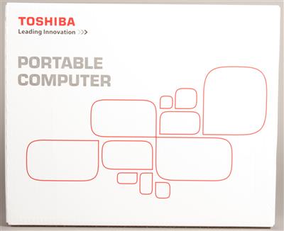 Toshiba Notebook Satellite C850D-11K Schwarz (AMD E1-1200, 15,6" Trubrite HD LED, MS Windows8) - Um?ní, starožitnosti, šperky
