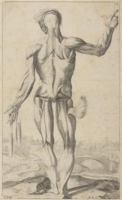 Andreas Vesalius - Paintings