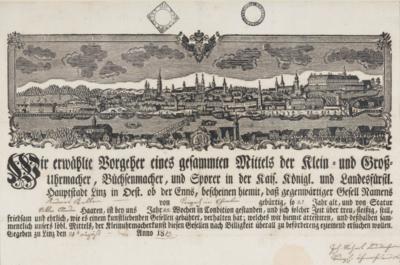 Ansicht von Linz und Urfahr - Gesellenbrief, 1813 - Paintings