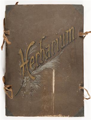 Herbarium mit ca. 86 verschiedenen Pflanzen - Spring auction