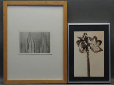 2 Fotografien a) Elisabeth Kraus - Arte moderna e contemporanea, grafica moderna
