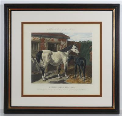 Kolorierter Stich von John Harris (1811-1865) und C. Quentery (tätig um 1850) - Arte, antiquariato e gioielli