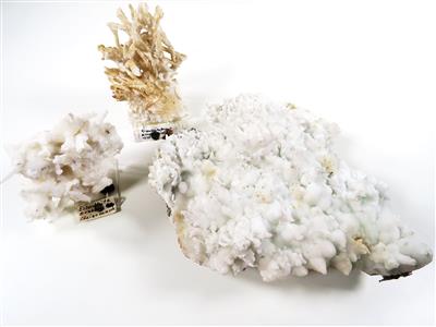 Eisenblüte oder Aragonit - Minerals and fossils