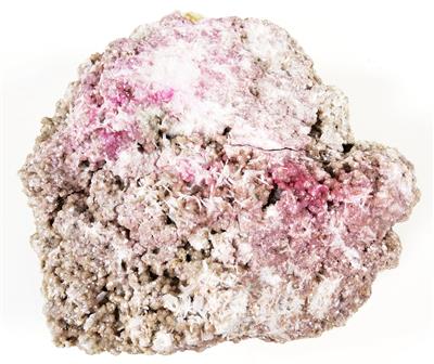 Lithiumglimmer - Mineralien und Fossilien