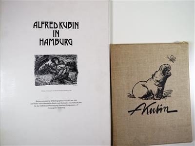 Buch 'Fünfzig Zeichnungen' Alfred Kubin - Klenoty a starožitnosti