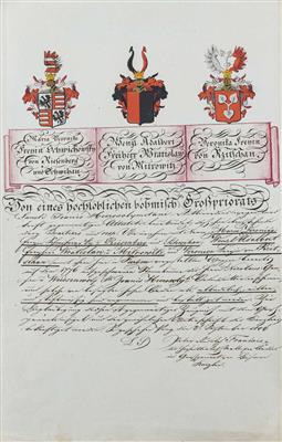 Historische Adelsbeglaubigung des böhmischen Großpriorates des Johanniterordens 1806 - Klenoty, umění a starožitnosti
