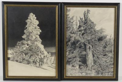 Unbekannter Zeichner (20. Jahrhundert) mit zwei Baumdarstellungen: a) - Z pozůstalosti SEPP FORCHER