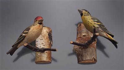 Paar Singvögel in Viechtauer Art - Osterauktion - Kunst und Antiquitäten
