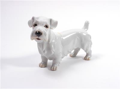 AUGARTEN Porzellanfigur "Sealyham-Terrier" - Arte, antiquariato e gioielli